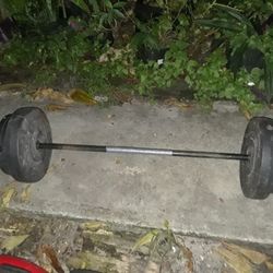 Bench Press Bar With Weights 100 Lb Ball Together