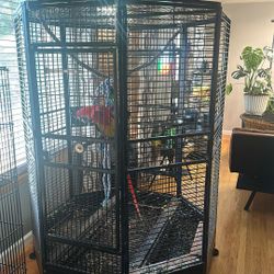 Birdcage