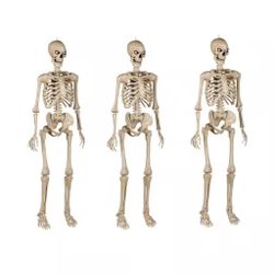 3 PCS 16" Halloween Skeleton Decor, Scary Small Hanging Skull Props
