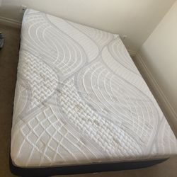 New Mattress 