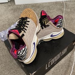 Nike Lebron