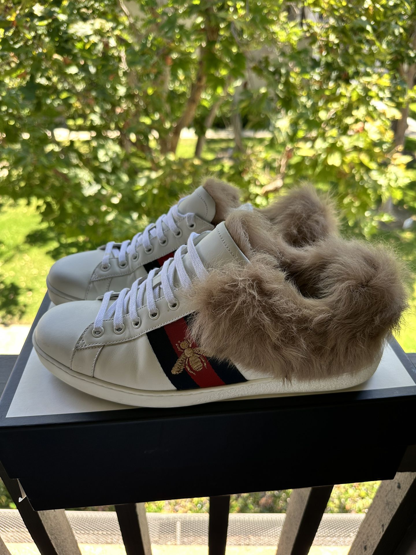 Gavmild Nysgerrighed replika Men's Gucci Fur Sneakers Size 10.5 for Sale in Rancho Santa Margarita, CA -  OfferUp