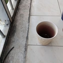 Flower Pots Ceramic No Holes