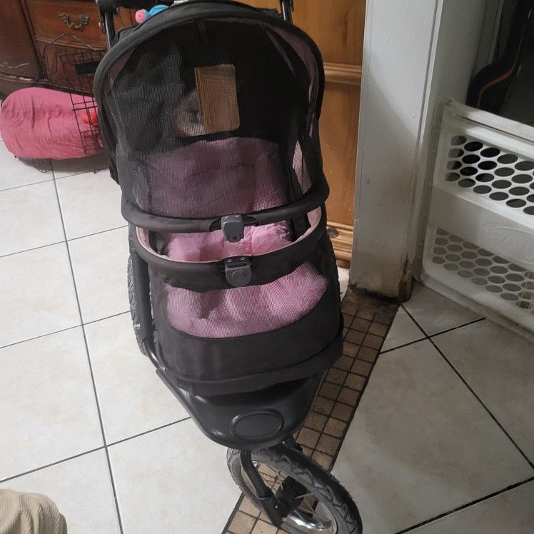 Stroller Dog 