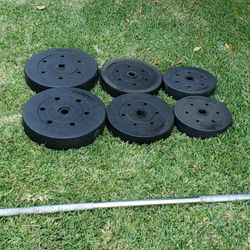 Standard Barbell with Weight Plates 