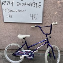 20” Kids Bike