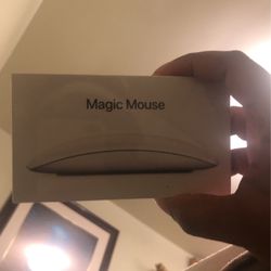 Apple Magic Mouse 