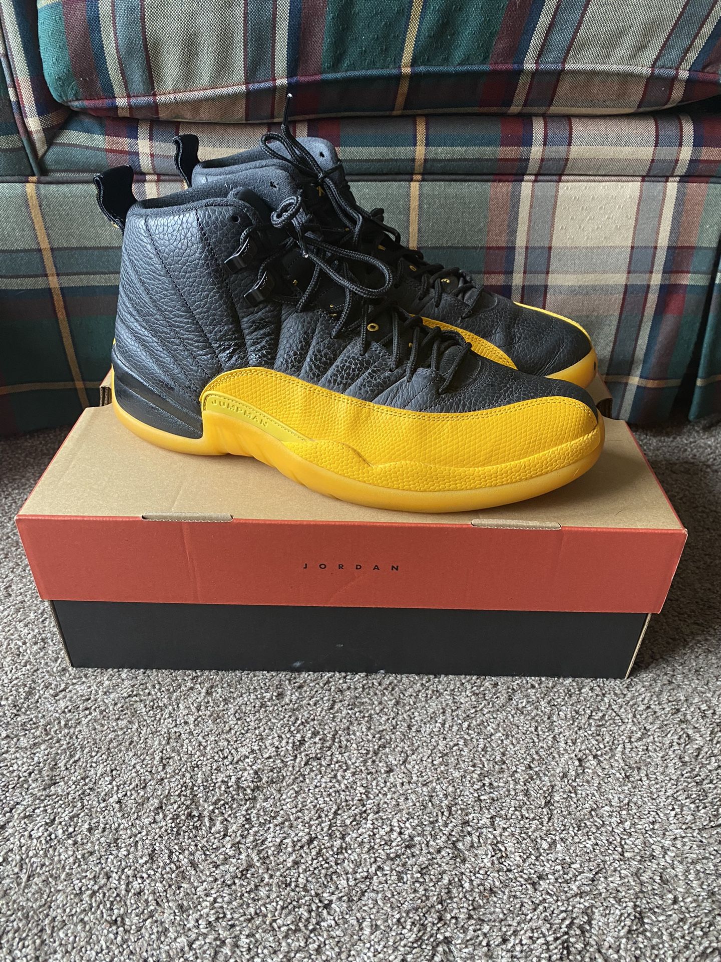 Air Jordan 12