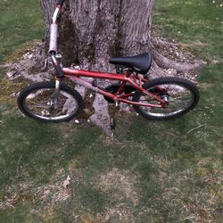 20” Kids Bike 