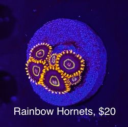 Fake Aquarium Decoration