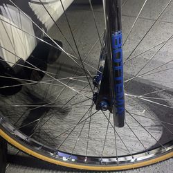 Bike project race inc 29