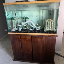 100 Gallon Fish Tank With Stand And Decorative Items