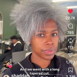 Hoya lift with 3 batteries and 2 chargers