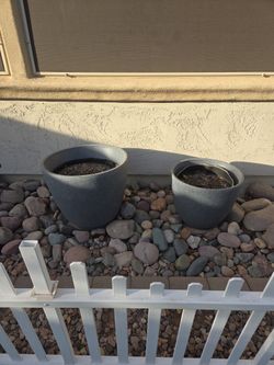 Two Planter Pots