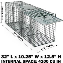 Raccoon Trap 
