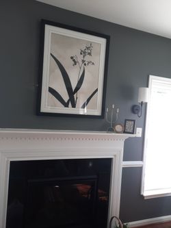 Large picture