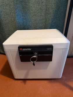 Sentry 1970 Firesafe