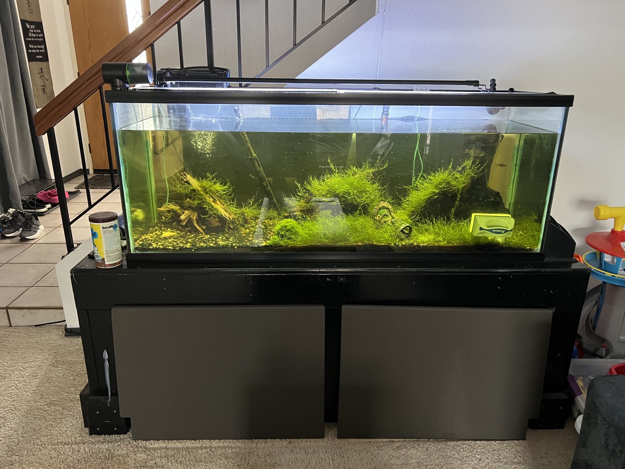 100 Gallon Fish Tank + Stand