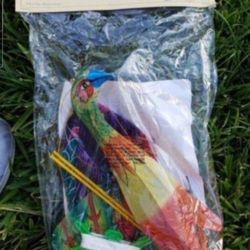 Silk Phoenix kite vintage classic antique Shed Pool