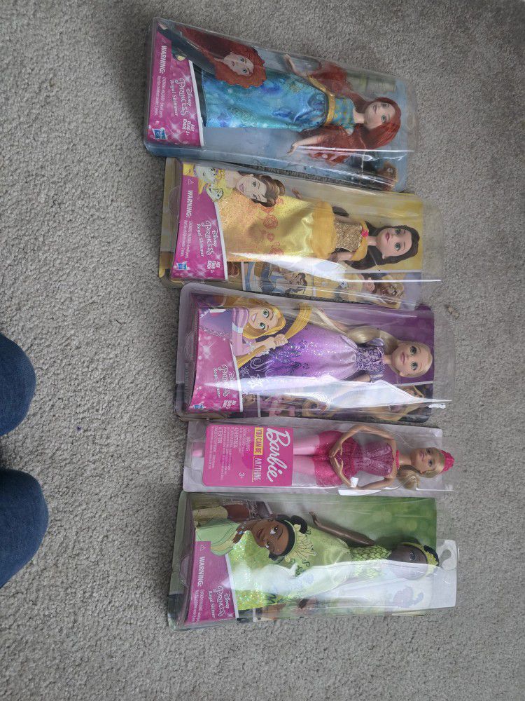 Disney  Princess Dolls (Hasbro)