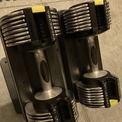 Pro Form Adjustable DUMBELLS 5-50lbs Each 