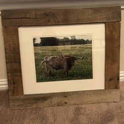 Longhorn Picture