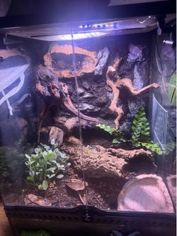 Enclosure