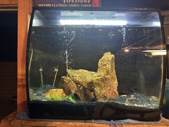 15 Gallon FishTank