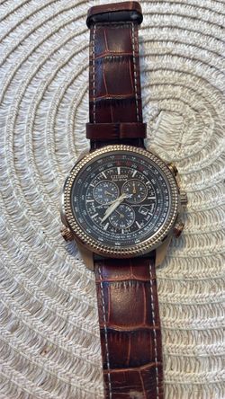 Citizen Eco-Drive Perpetual Calendar Chronograph Watch