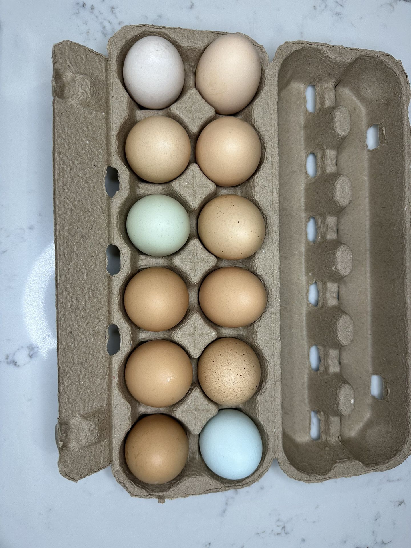 Organic Fresh Free Range Chicken Eggs