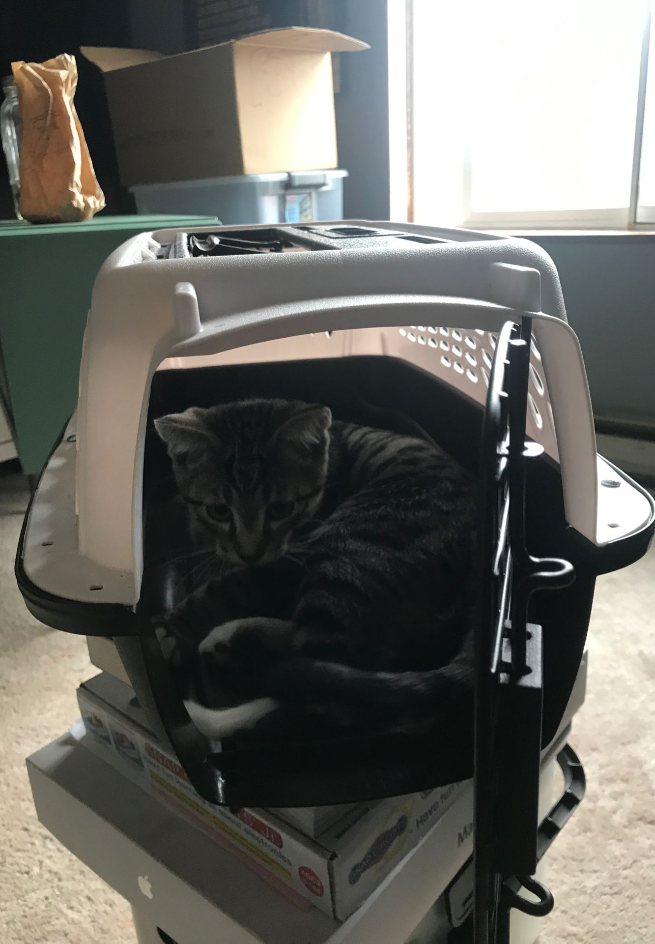 Small travel crate