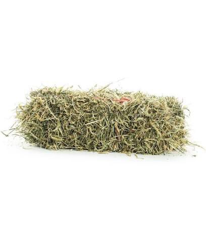 New Grass Hay For Sale In