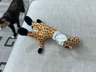 Stuffed toy with Tag
