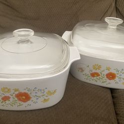 Two Casserole Dishes