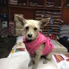 john’s feed & pet supplies