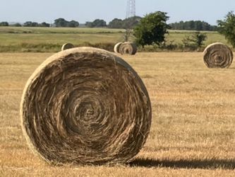 Round bails for sale
