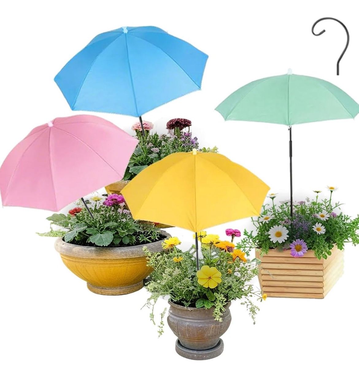 Plant Umbrella ☂️  Only One Available