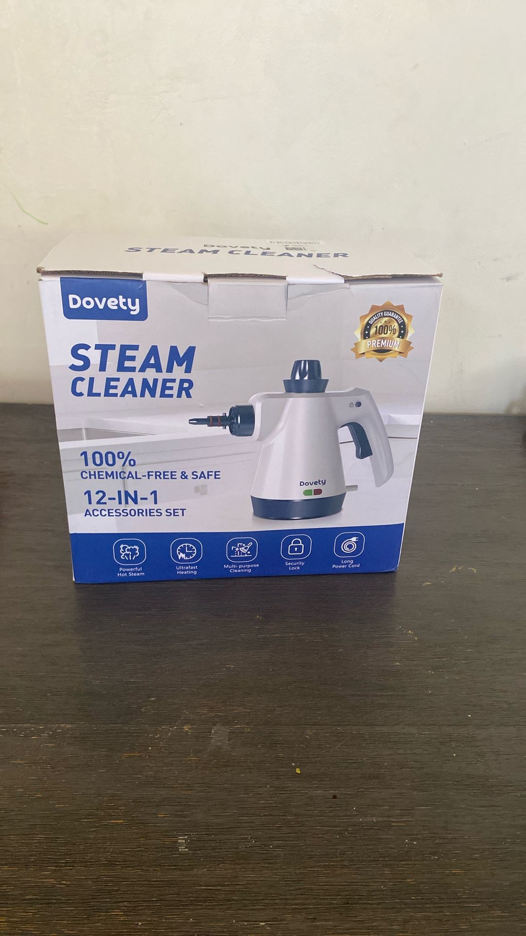 handheld pressure steam cleaner