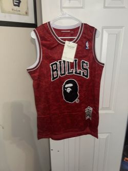BAPE Chicago Bulls jersey size m