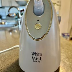 Facial Steamer 