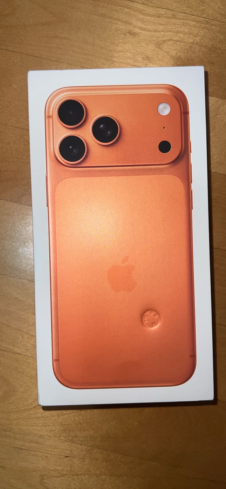 iPhone 17 Pro Max 256 GB