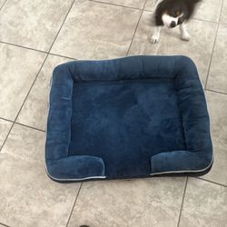 Dog Bed