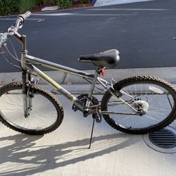 24 “ Bike