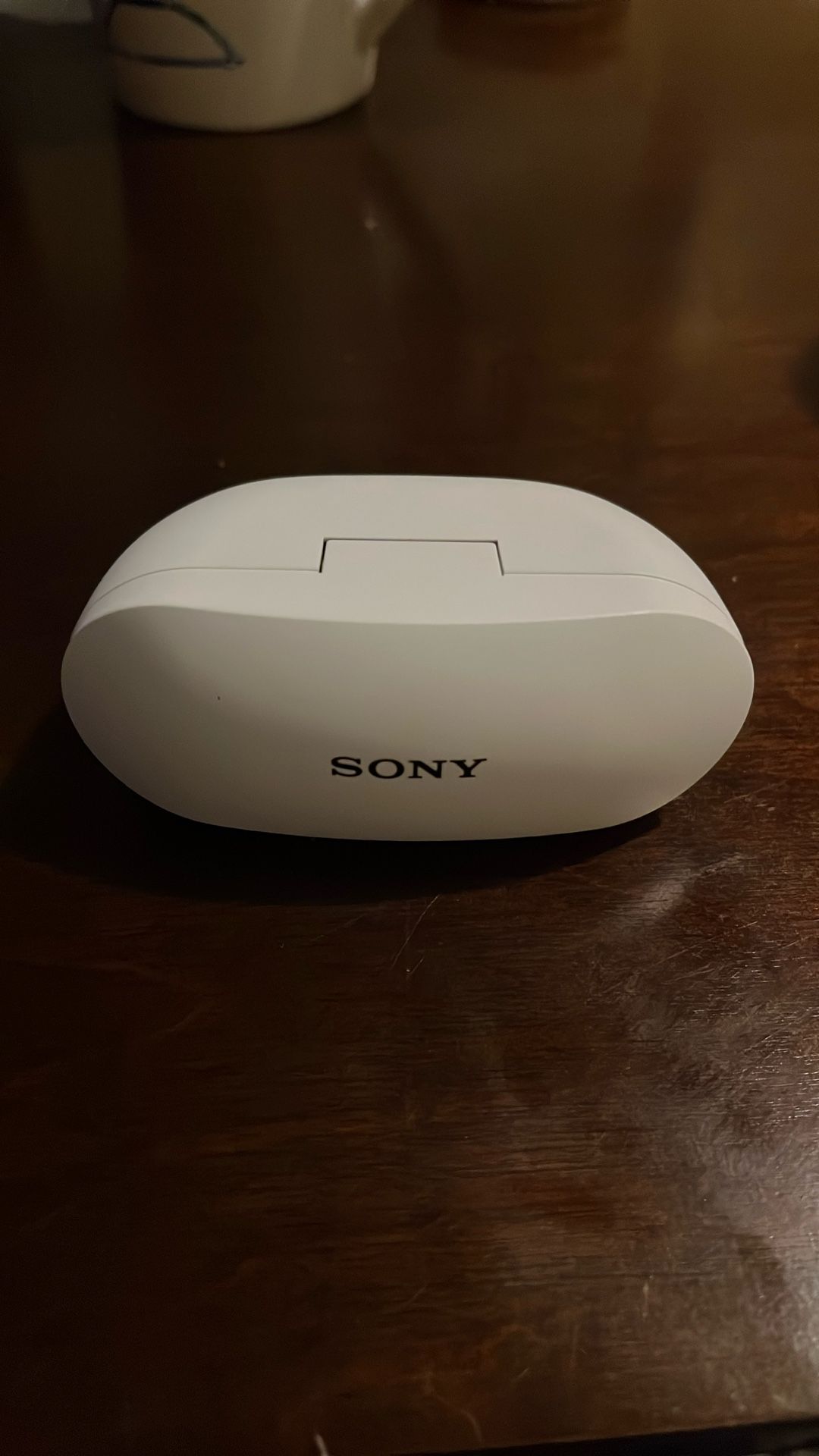 Sony WF-SP800N Truly Wireless In Ear Noise-Canceling Headphones