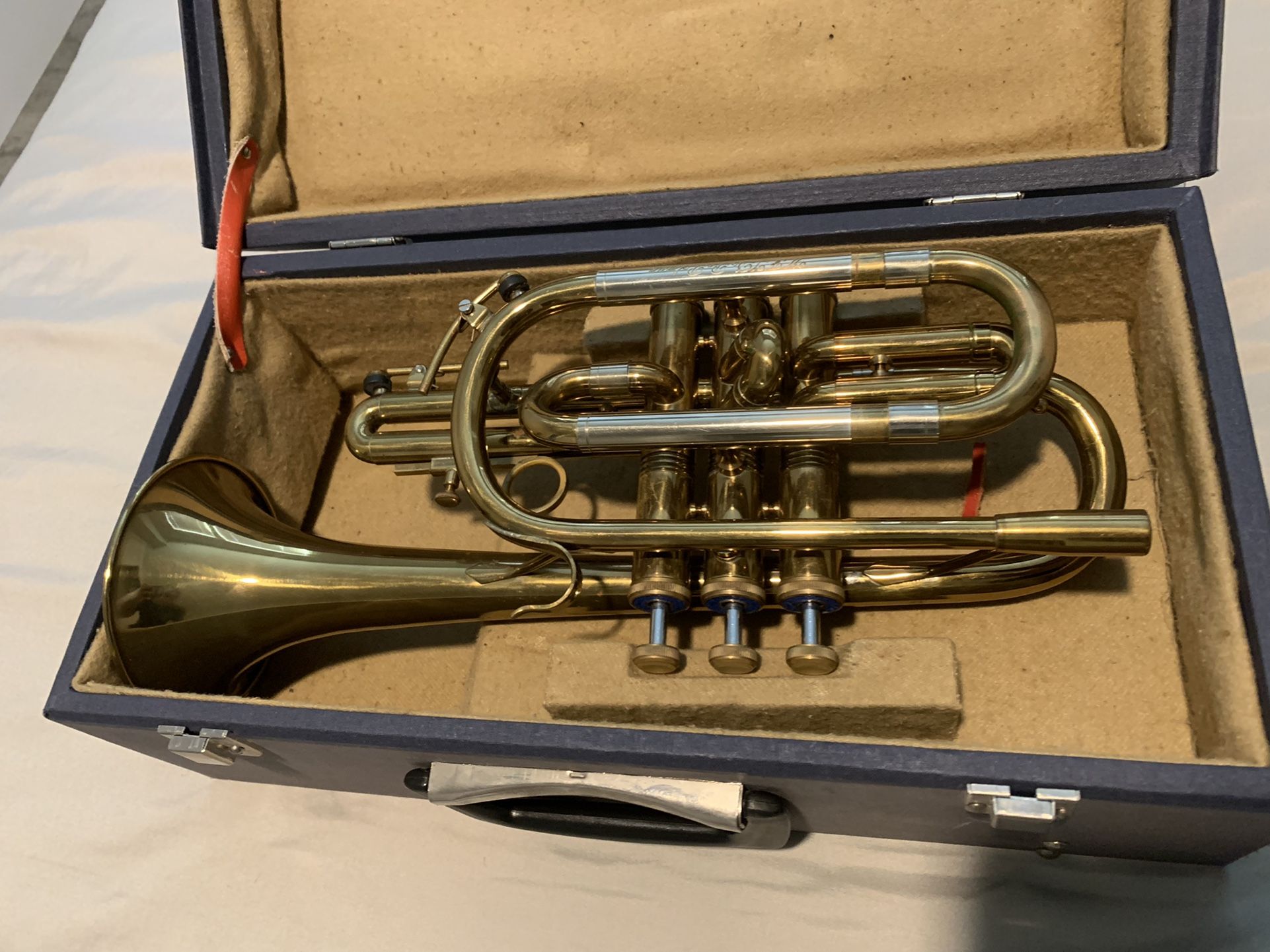 Trumpet / Cornet