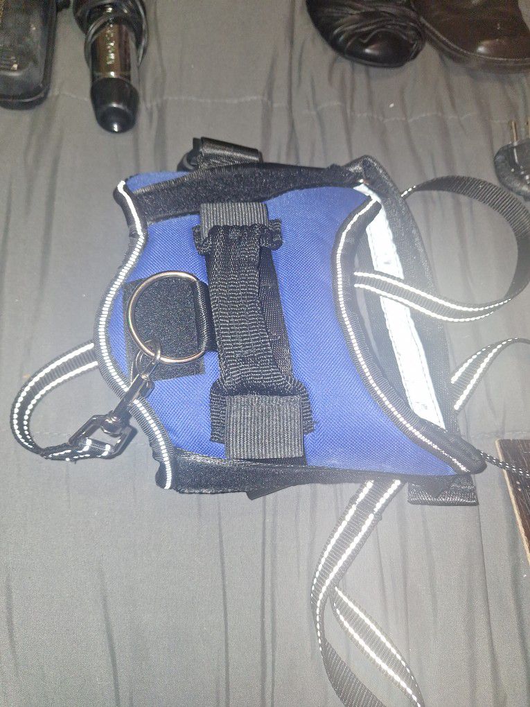 Dog Harness With Leash