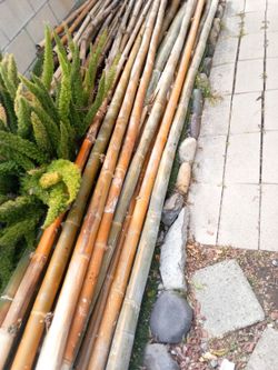 Nice Good Japanese Bamboo 12' X4"