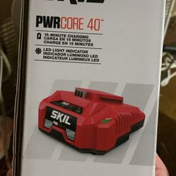 Skil 40v Battery Pwrcore 40
