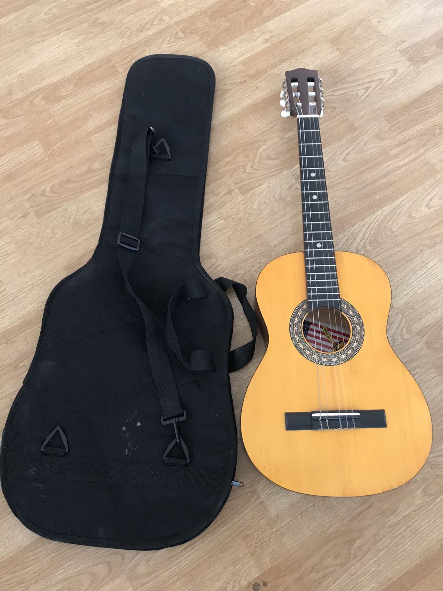 Guitar With Carry Bag