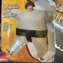 Halloween Costume 